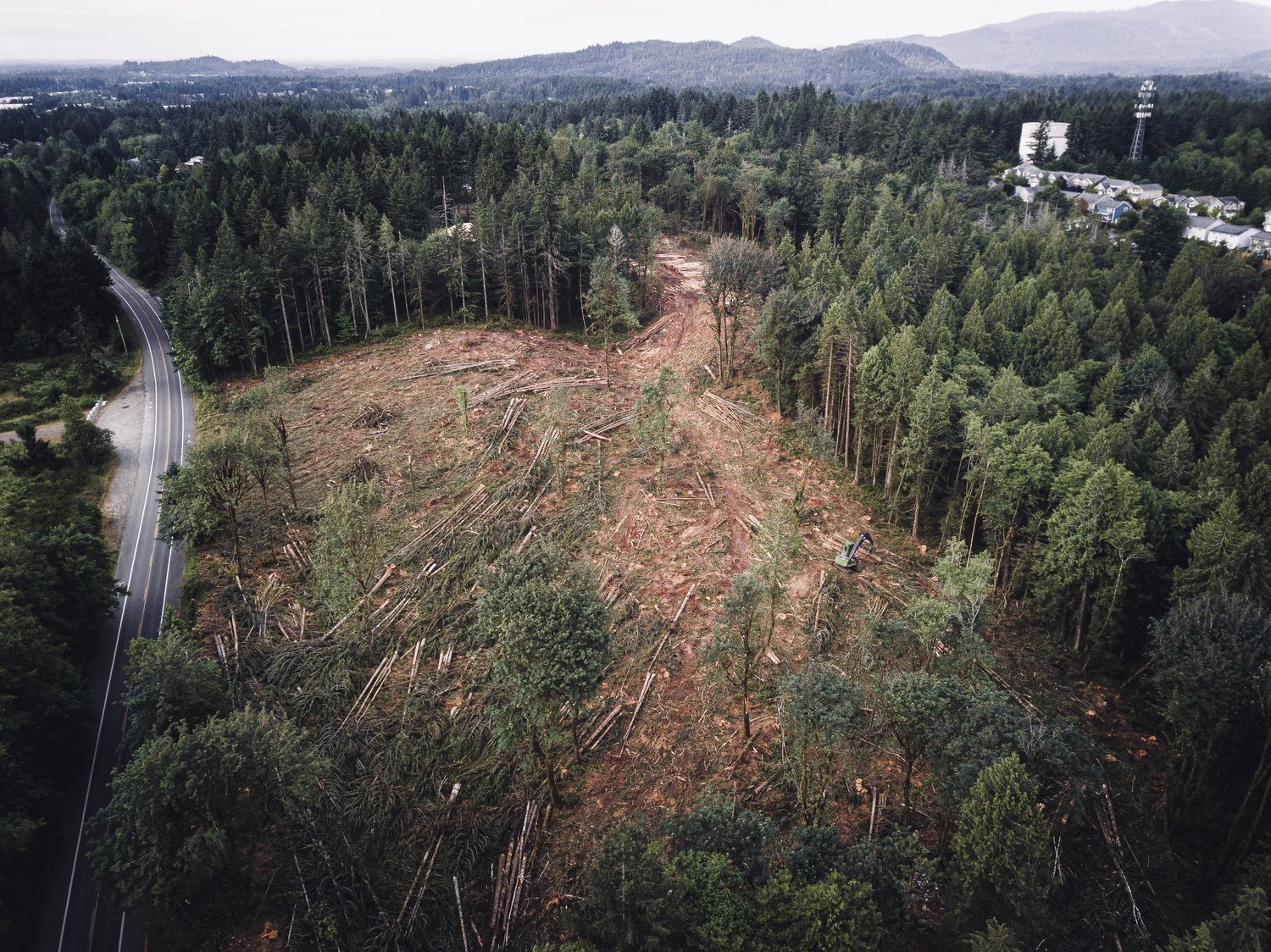 A dramatic view of the clearcut forest showing the bare hills of Green Cove Creek Watershed from a drone photo.